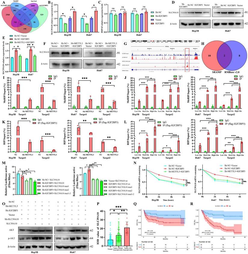 Int J Biol Sci Image