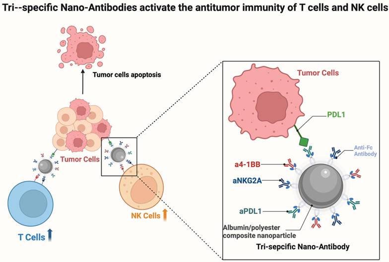 Int J Biol Sci Image