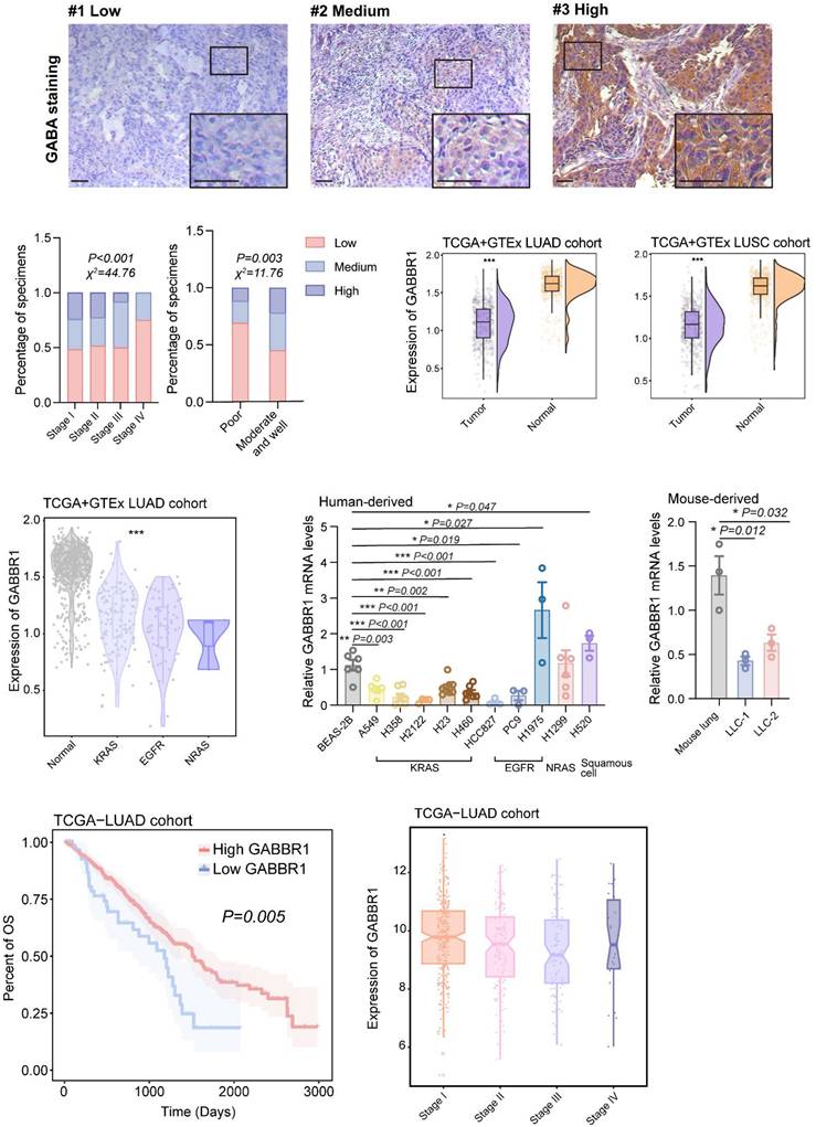 Int J Biol Sci Image