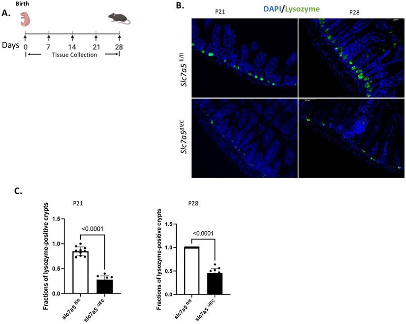 Int J Biol Sci Image