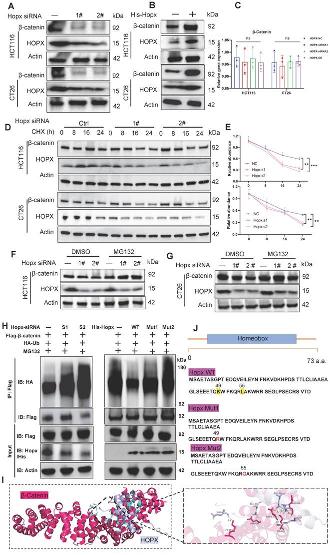 Int J Biol Sci Image