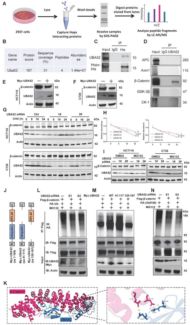 Int J Biol Sci Image