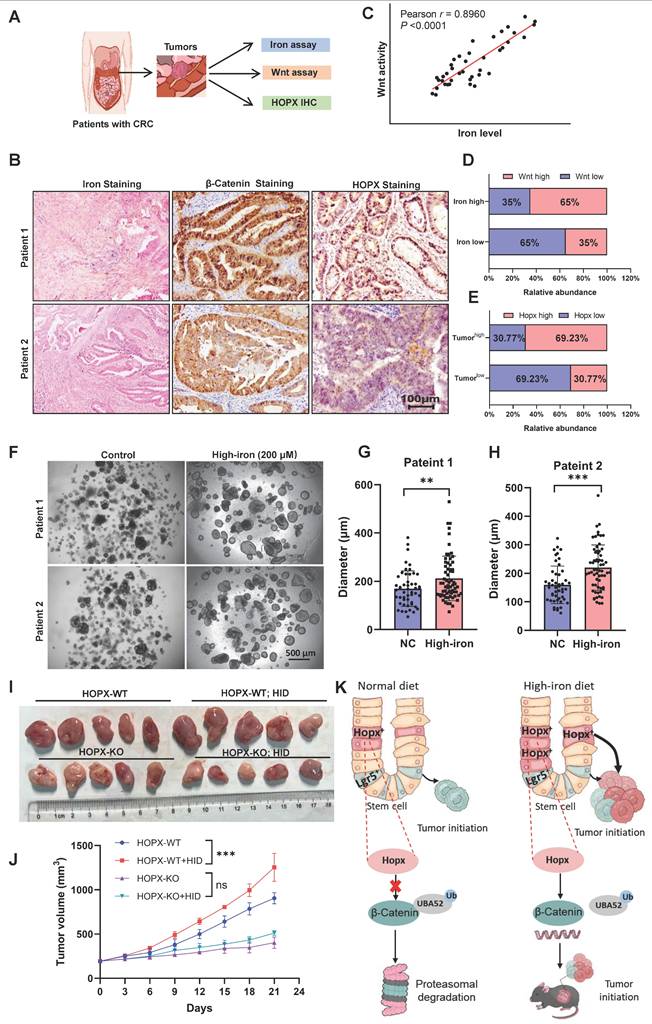Int J Biol Sci Image