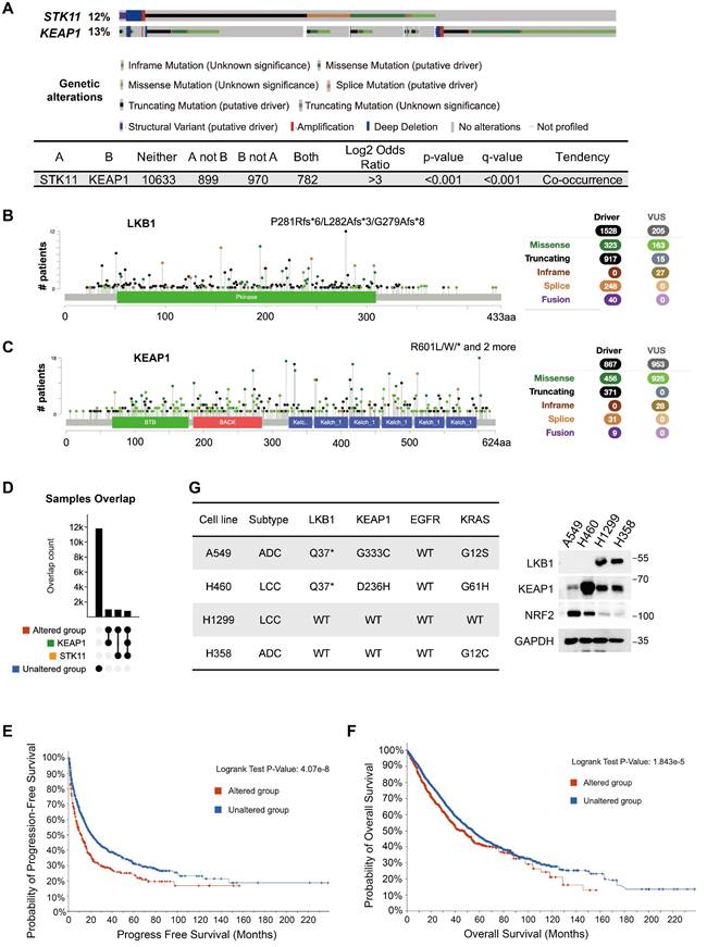 Int J Biol Sci Image