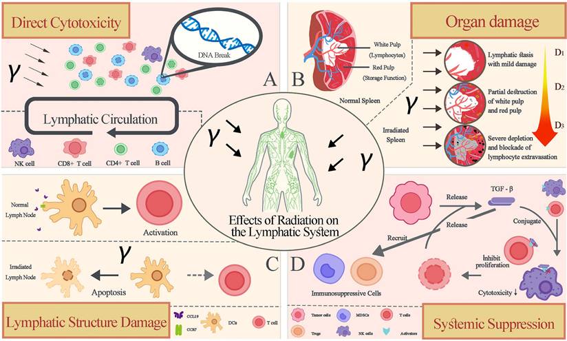 Int J Biol Sci Image
