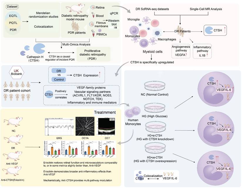 Int J Biol Sci Image