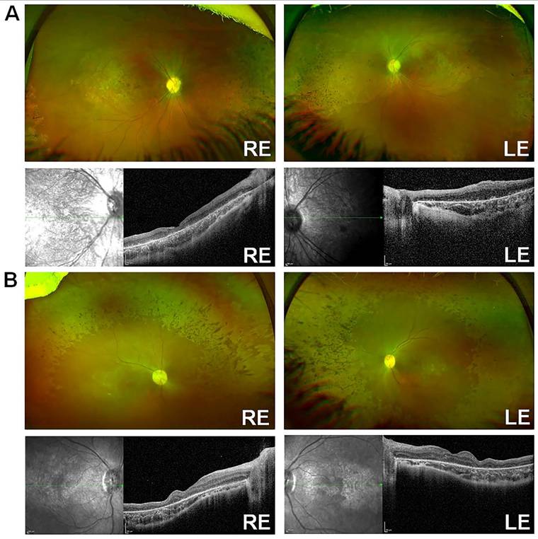 Int J Biol Sci Image