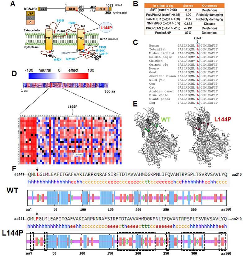 Int J Biol Sci Image