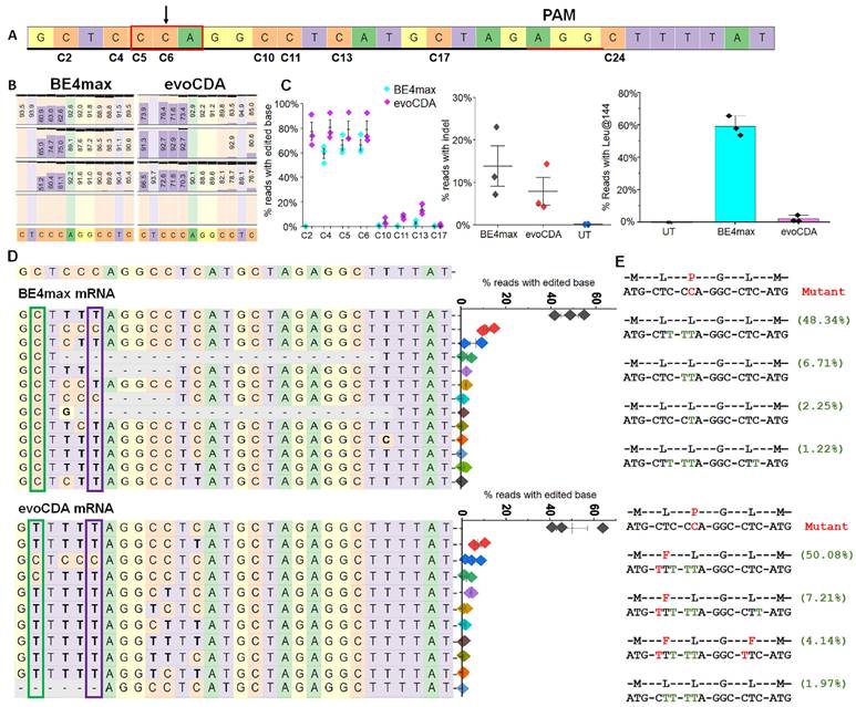 Int J Biol Sci Image