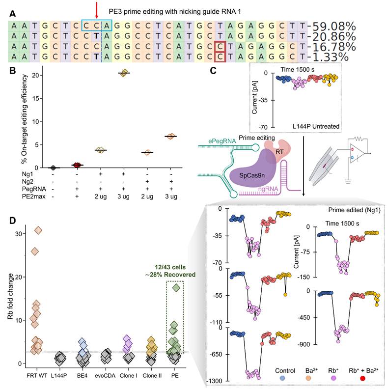 Int J Biol Sci Image