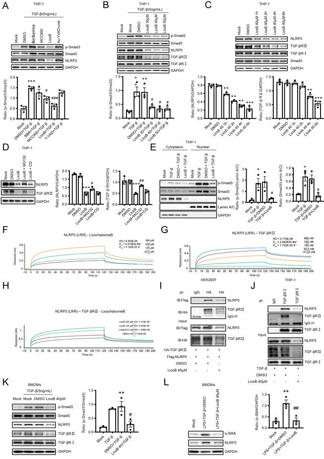 Int J Biol Sci Image
