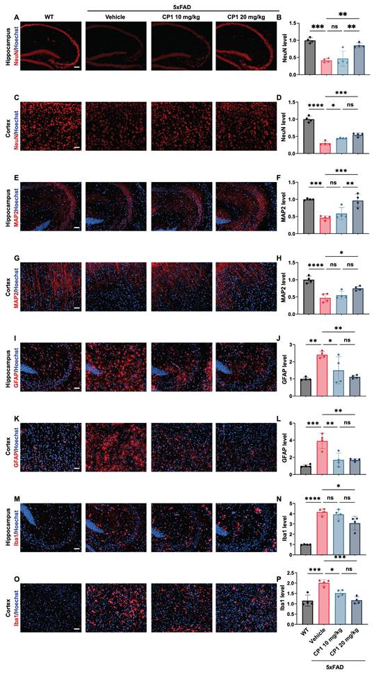 Int J Biol Sci Image