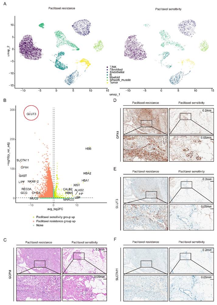 Int J Biol Sci Image