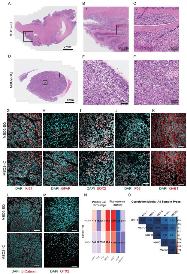 Int J Biol Sci Image