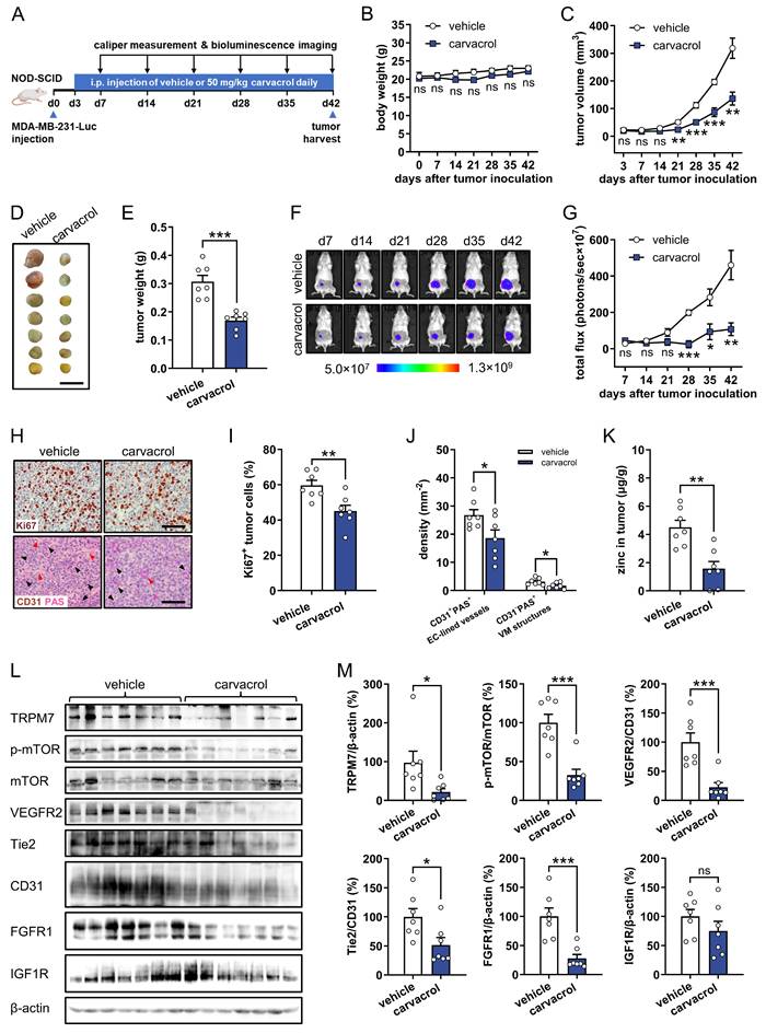 Int J Biol Sci Image
