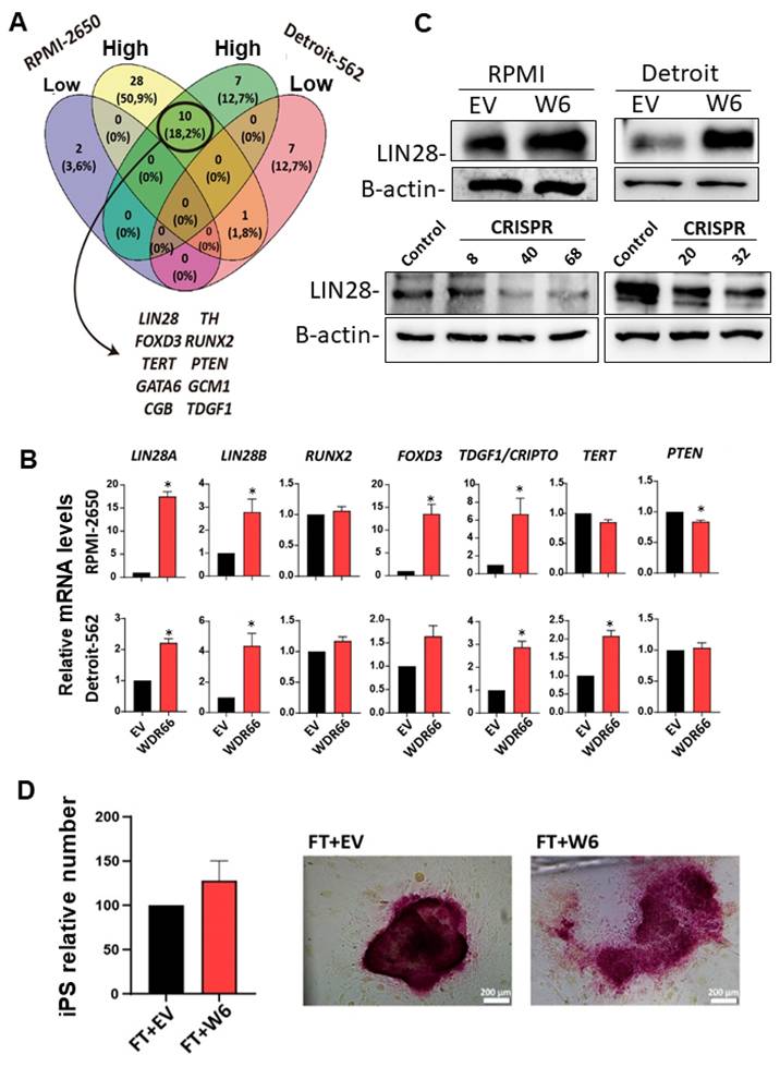 Int J Biol Sci Image