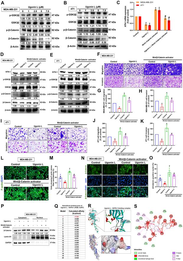 Int J Biol Sci Image