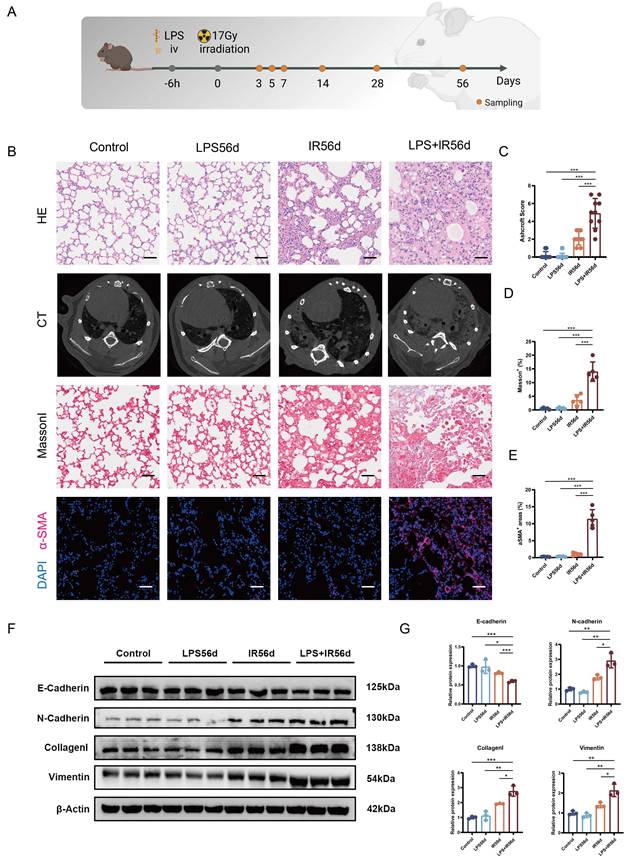 Int J Biol Sci Image