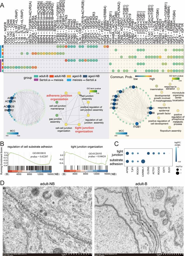 Int J Biol Sci Image
