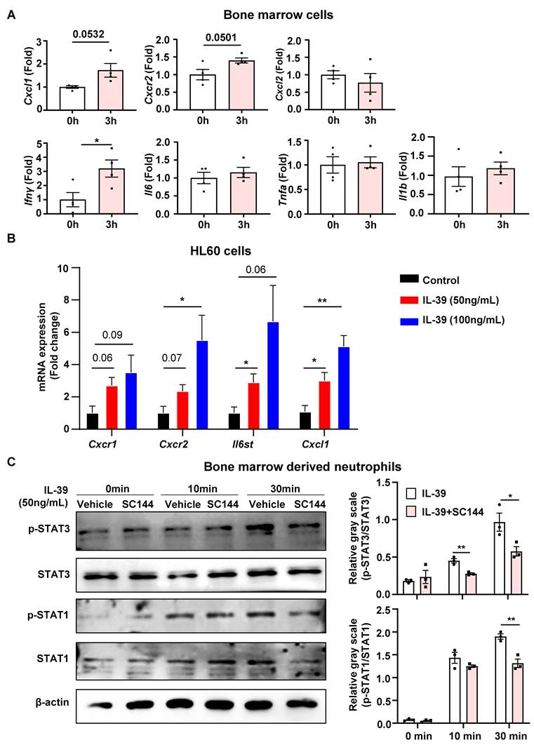 Int J Biol Sci Image