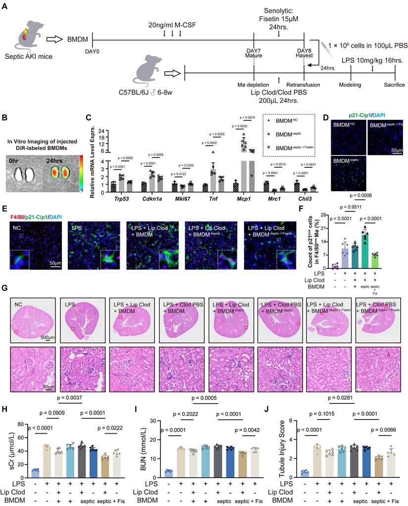 Int J Biol Sci Image