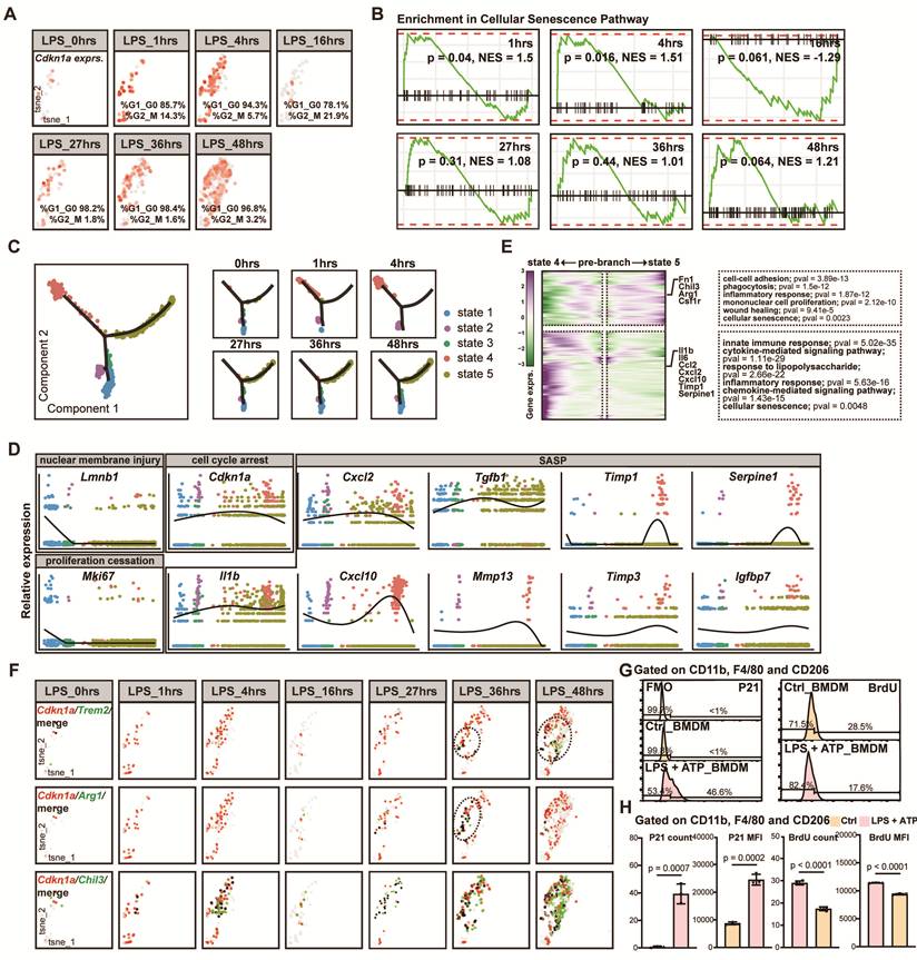 Int J Biol Sci Image