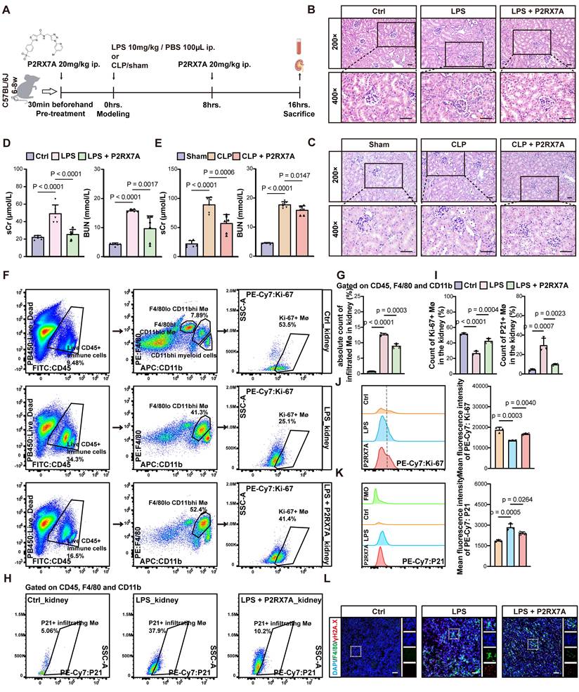 Int J Biol Sci Image