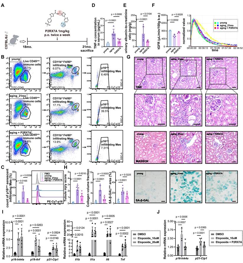 Int J Biol Sci Image