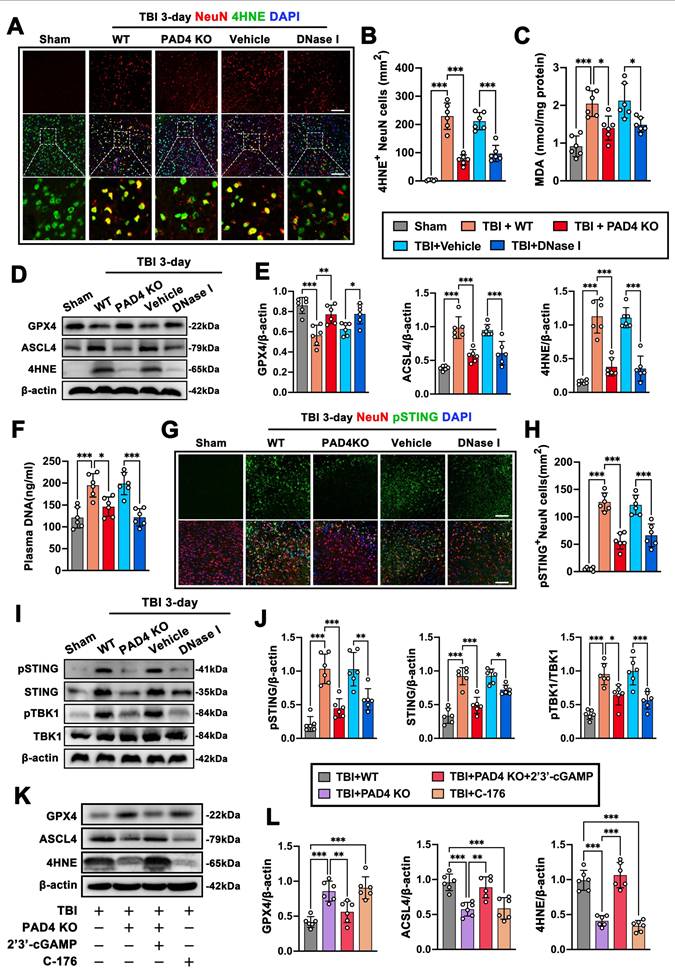 Int J Biol Sci Image