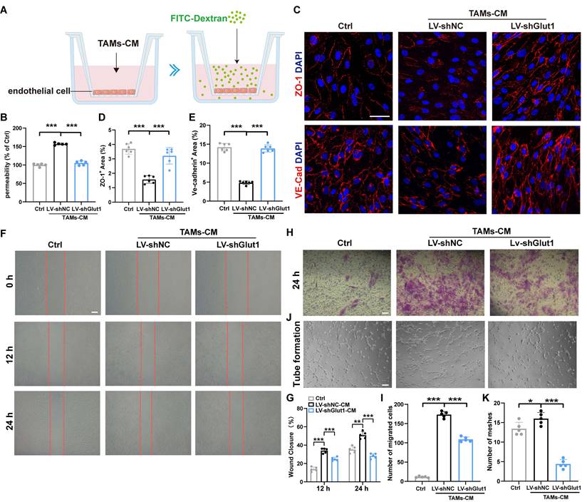 Int J Biol Sci Image