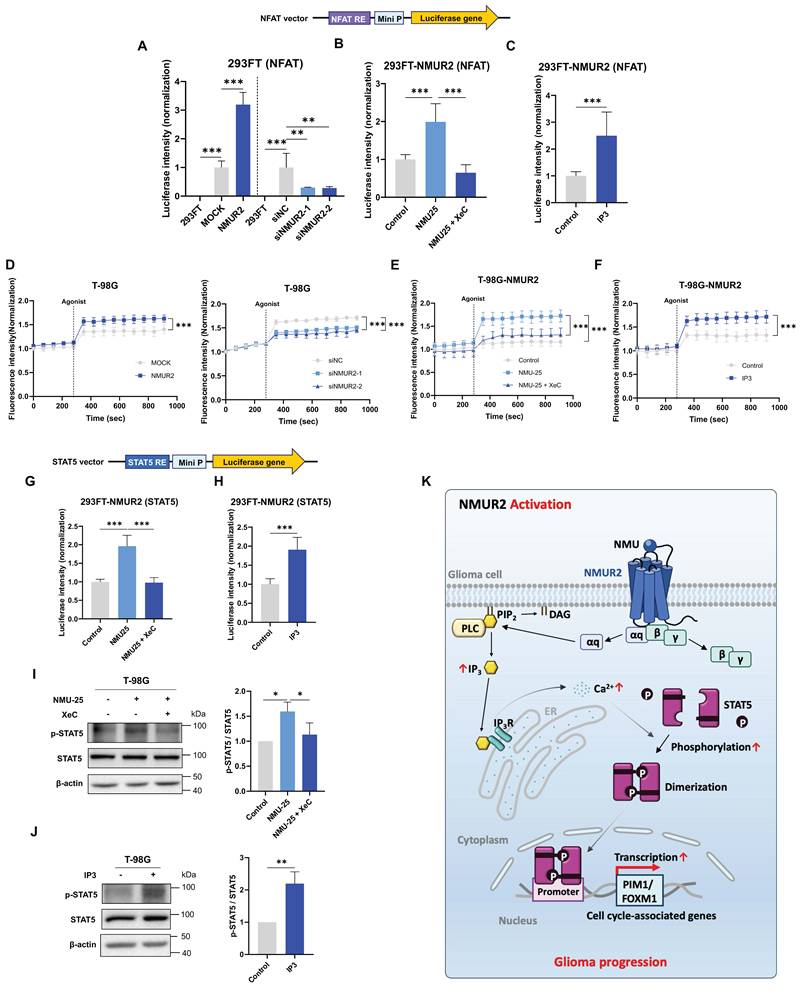 Int J Biol Sci Image