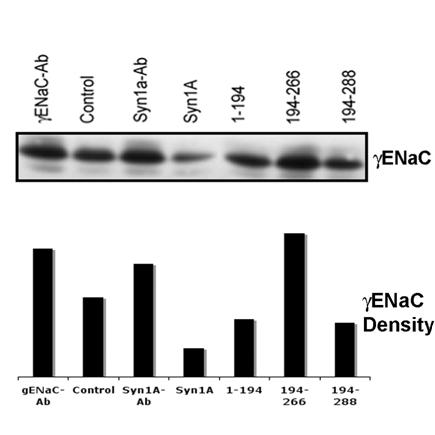 Int J Biol Sci inline graphic