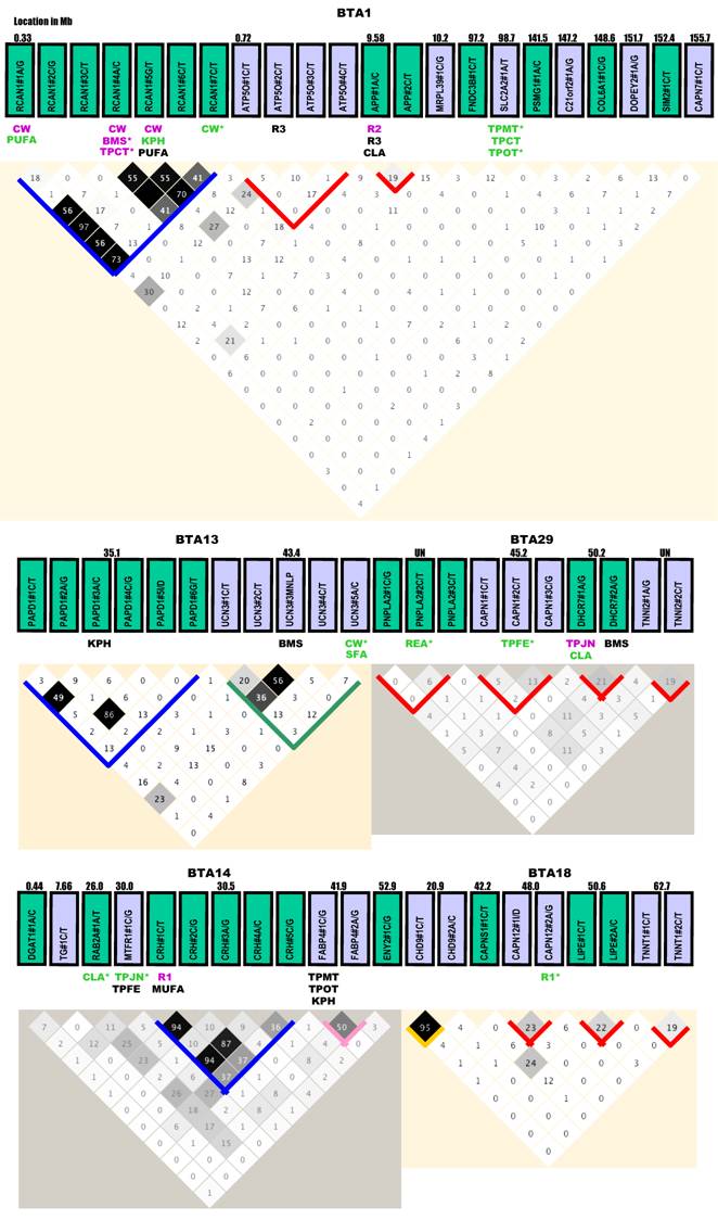 Discovery of novel genetic networks associated with 19 economically ...