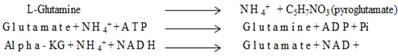 Int J Biol Sci inline graphic