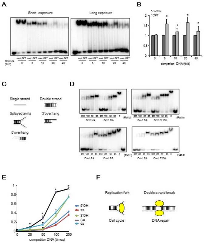 international journal of biological sciences