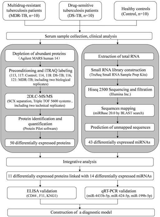A Group of Novel Serum Diagnostic Biomarkers for MultidrugResistant