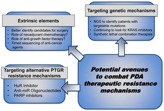 The Landscape of Pancreatic Cancer Therapeutic Resistance Mechanisms