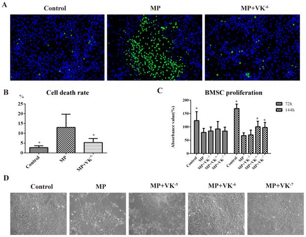 Int J Biol Sci Image