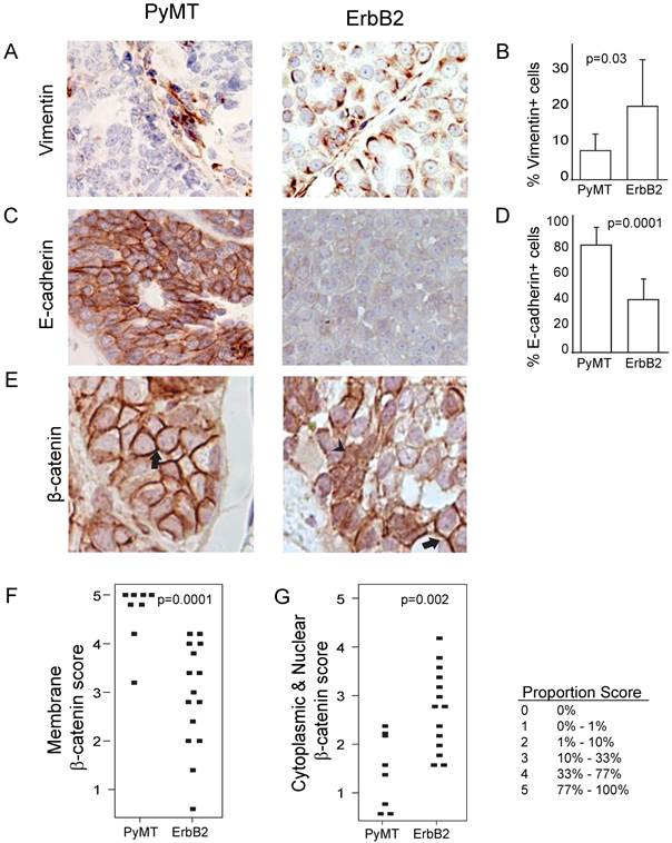 Int J Biol Sci Image