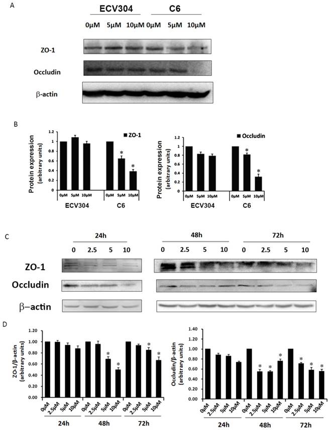 Int J Biol Sci Image