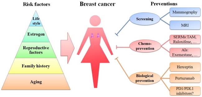 Breast Cancer Types Chart