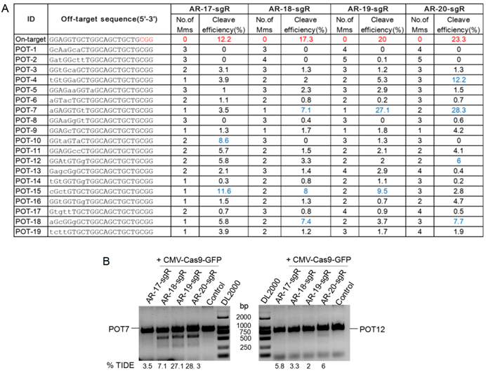 Crispr Offinder A Crispr Guide Rna Design And Off Target Searching Tool For User Defined Protospacer Adjacent Motif