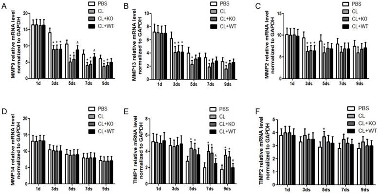 Int J Biol Sci Image