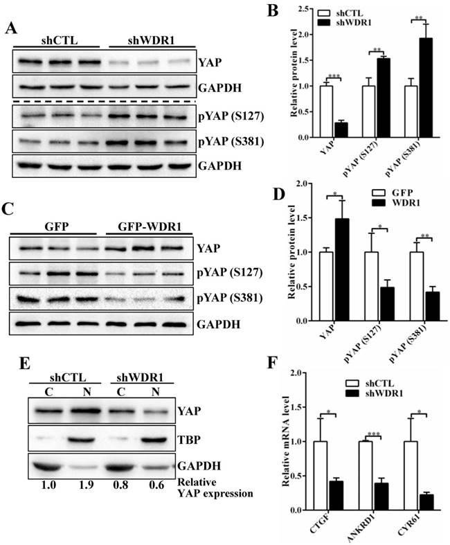Int J Biol Sci Image