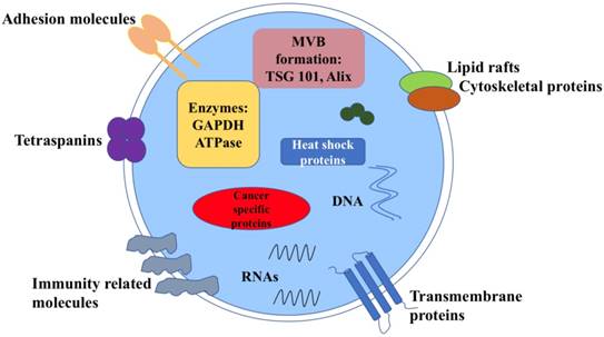 international journal of biological sciences