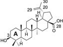 Int J Biol Sci inline graphic