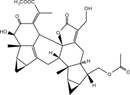 Int J Biol Sci inline graphic