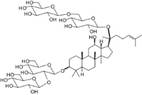 Int J Biol Sci inline graphic