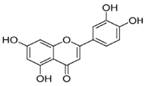 Int J Biol Sci inline graphic