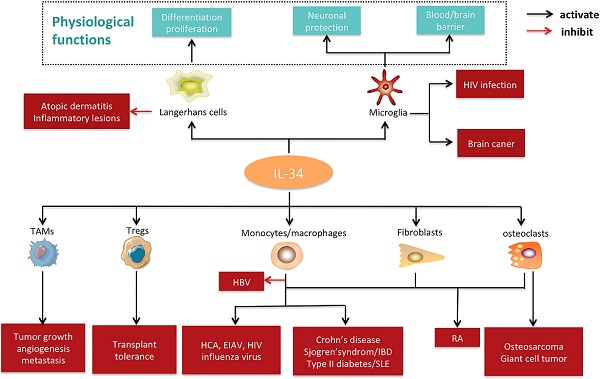 can liver cancer cause abdominal pain